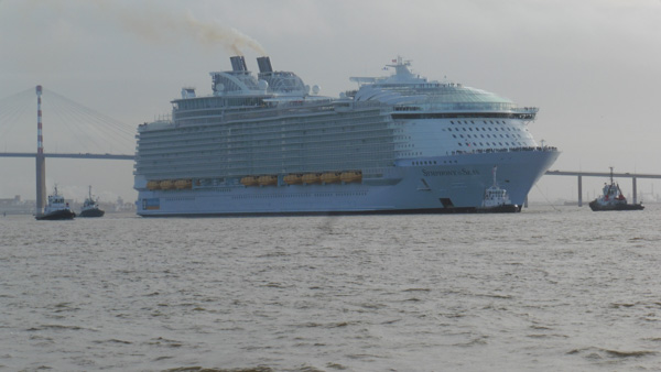 Symphony of the Seas schiff